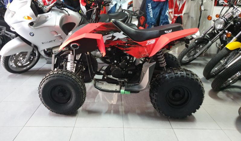 Quad FX 250 con 4 marce – 2X4