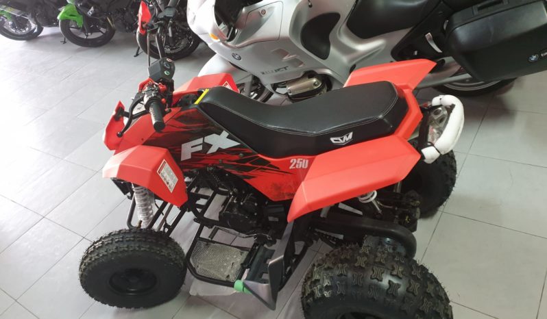 Quad FX 250 con 4 marce – 2X4
