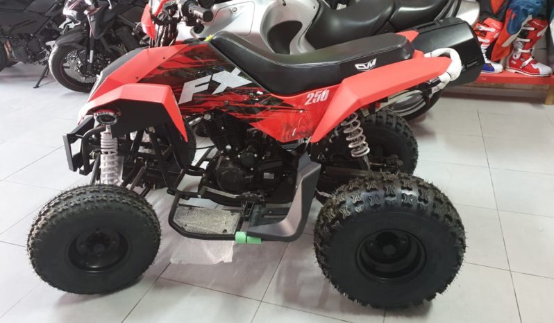 Quad FX 250 con 4 marce – 2X4