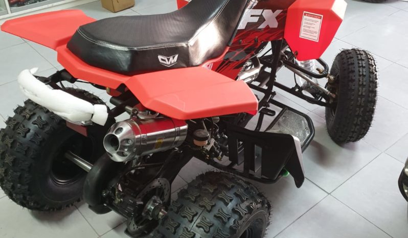 Quad FX 250 con 4 marce – 2X4