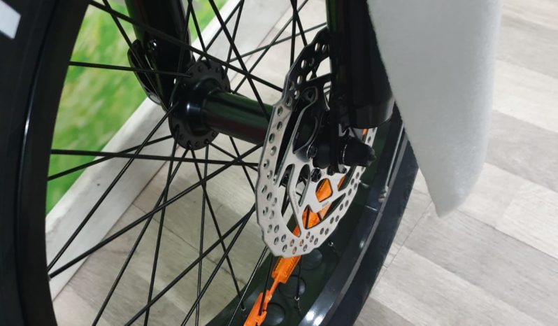 E-Bike Ztech FD-02 250-500w