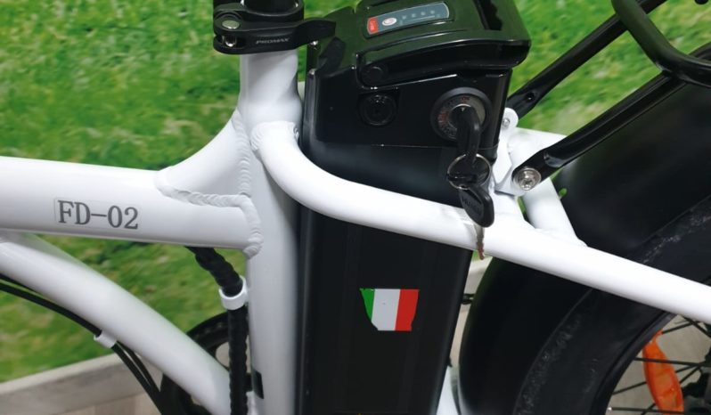 E-Bike Ztech FD-02 250-500w