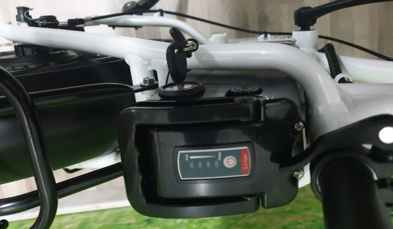 E-Bike Ztech FD-02 250-500w