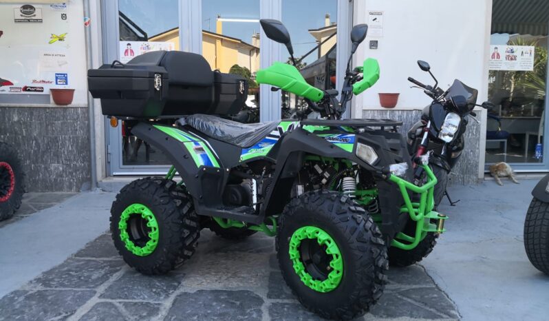 Apollo Commander 200 T3- 2×4 Omologato 1 Posto