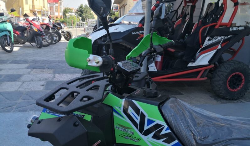 Apollo Commander 200 T3- 2×4 Omologato 1 Posto