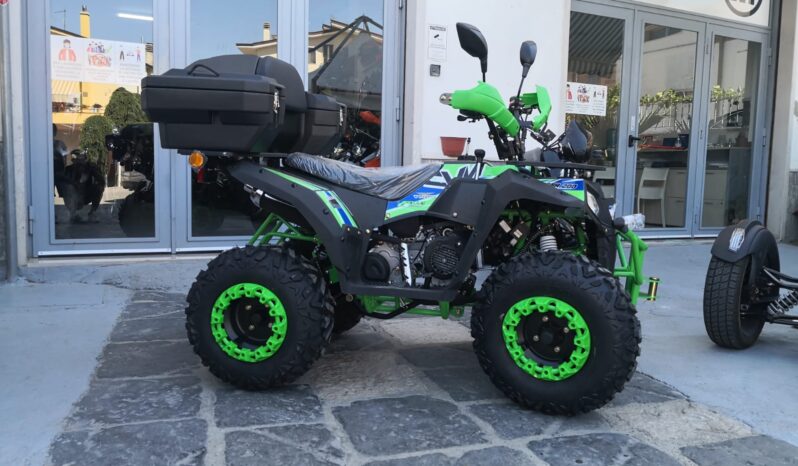 Apollo Commander 200 T3- 2×4 Omologato 1 Posto