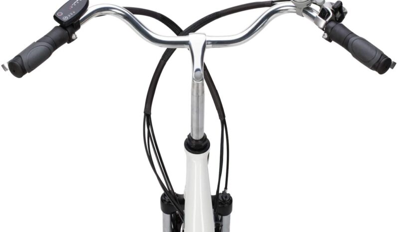 Bici Elettrica ZT – 34