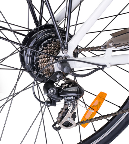 Bici Elettrica ZT – 13