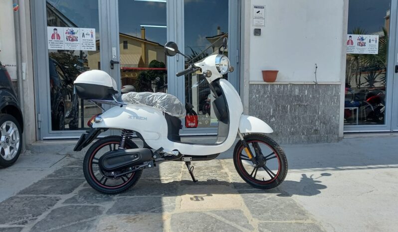 Bici elettrica ZTech ZT-09CL 500W