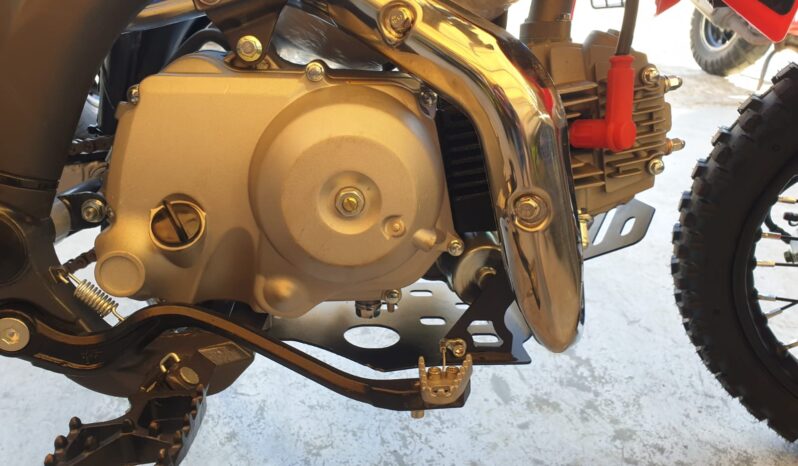 Pit Bike Apollo RXF Junior 110cc AUTOMATIC