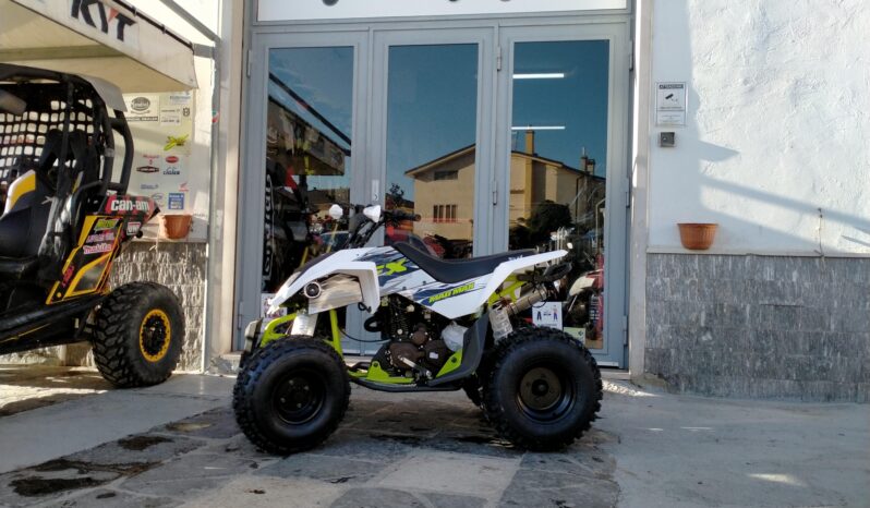 Quad ATV FX Way 250cc NON OMOLOGATO