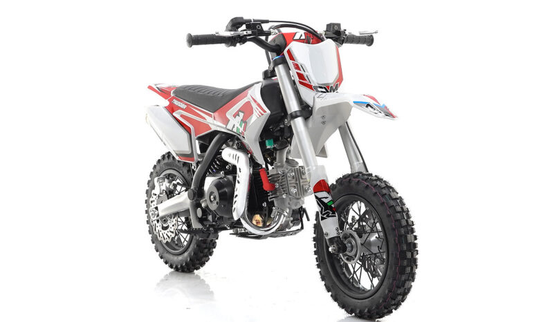 Pit Bike Apollo Thunder 110