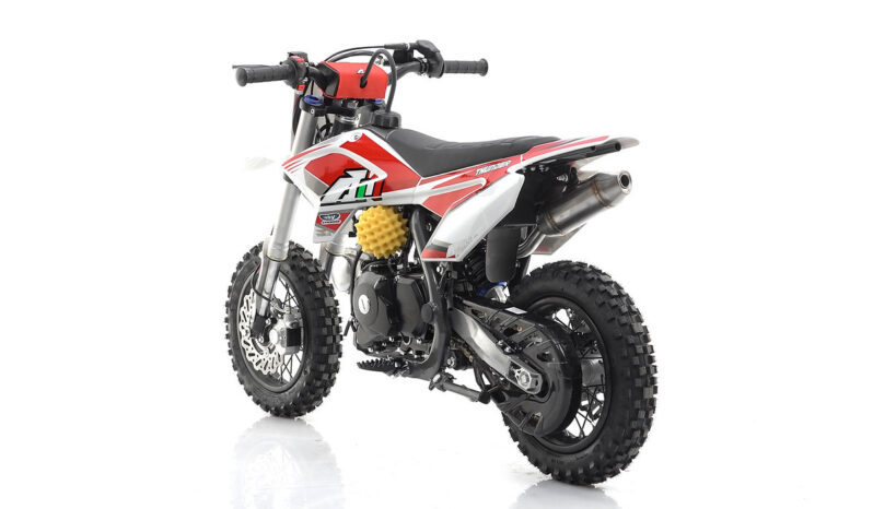 Pit Bike Apollo Thunder 110