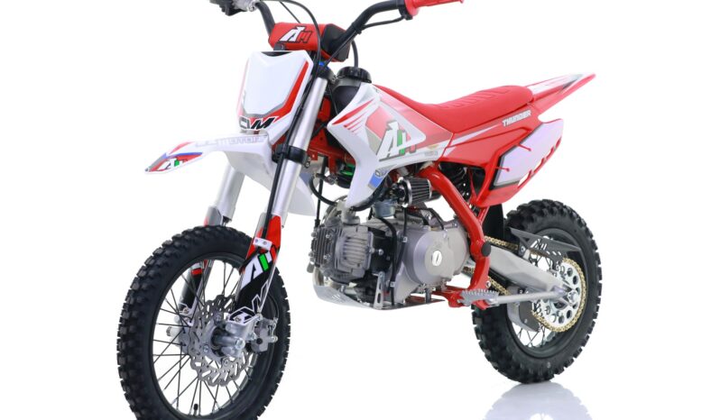 Pitbike Apollo Thunder 110 14’/12′ – Casco Omaggio