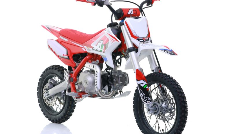 Pitbike Apollo Thunder 110 14’/12′ – Casco Omaggio