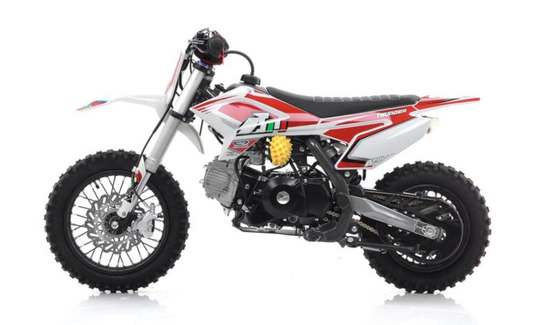 Apollo Thunder 110 12’/10′