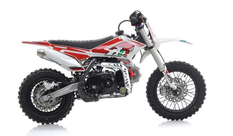 Apollo Thunder 110 12’/10′
