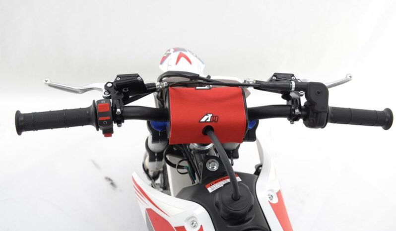 Apollo Thunder 110 12’/10′
