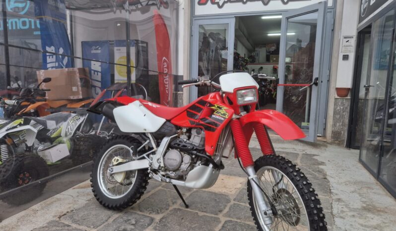 Honda Dall’Ara XR 650 – Iscrivibile ASI