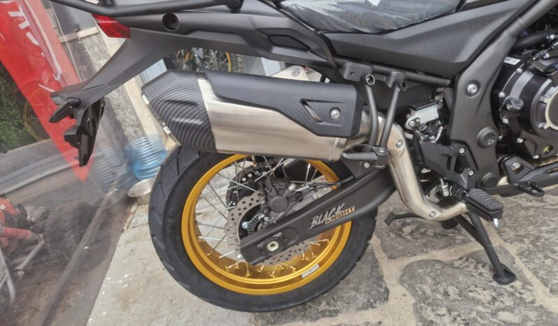 Voge Valico 525 DSX – Pronta Consegna