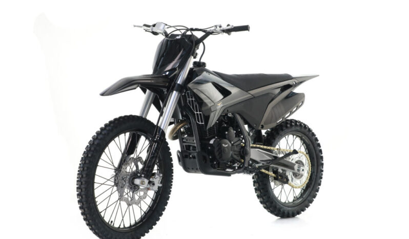 Apollo Thunder 250 21’18’