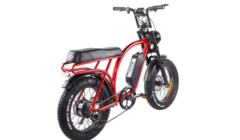 Bici Elettrica ZTech LEGACY 2.0 ZT-86B