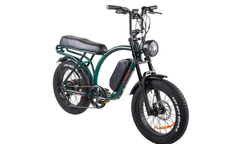 Bici Elettrica ZTech LEGACY 2.0 ZT-86B