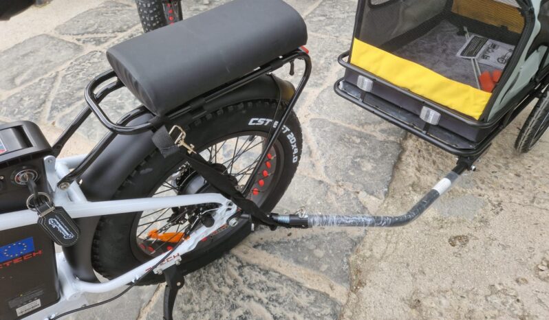Bici Elettrica Z-Tech FOLDING ETNA ZT-89A