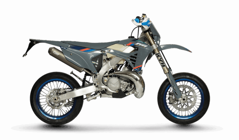 TM SMR 300 ES Fi 2T