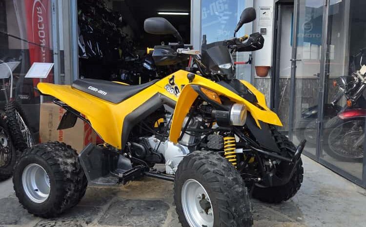 Can Am DS 250