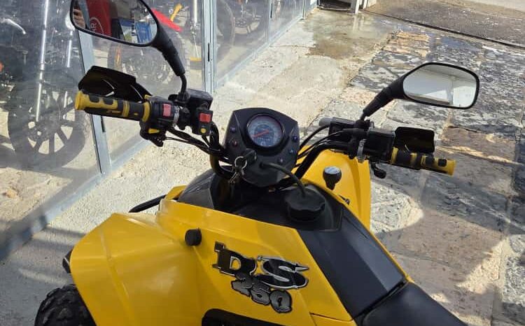 Can Am DS 250