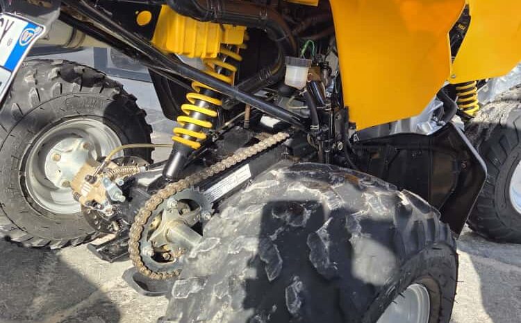 Can Am DS 250