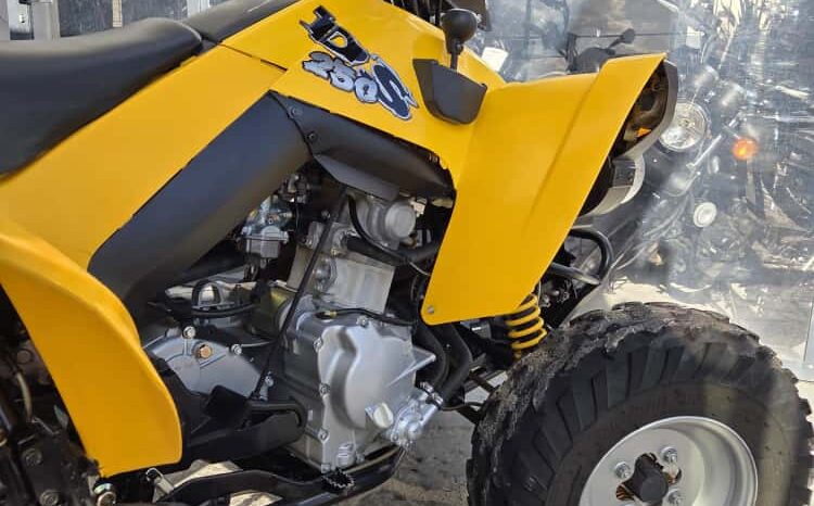 Can Am DS 250