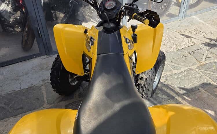 Can Am DS 250