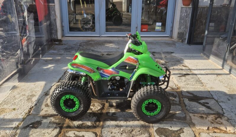 Miniquad KXD 110 R7 con retromarcia