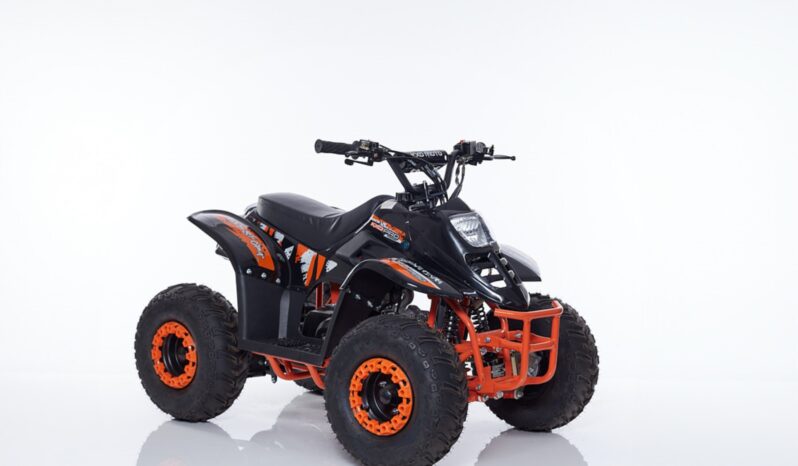 Mini Quad LINUS R6 + Kit Primo Tagliando