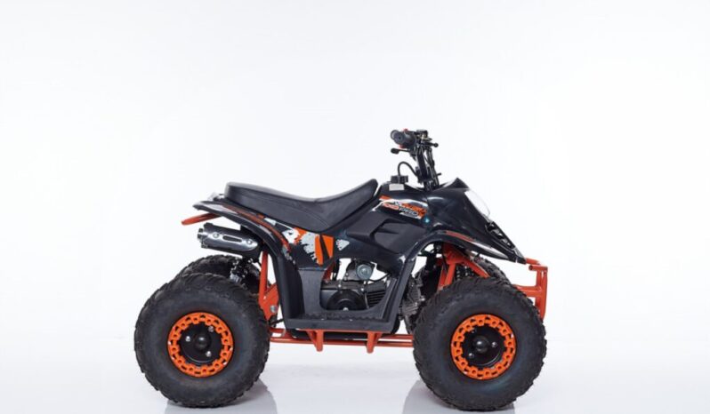 Mini Quad LINUS R6 + Kit Primo Tagliando
