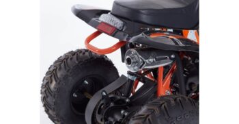 linus-001-r7-3-1024×683