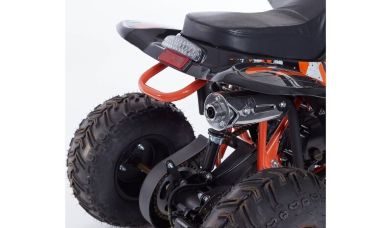 Mini Quad LINUS R6 + Kit Primo Tagliando