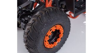 linus-001-r7-4-1024×683
