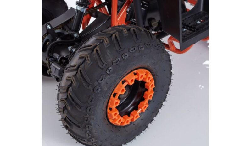 Mini Quad LINUS R6 + Kit Primo Tagliando