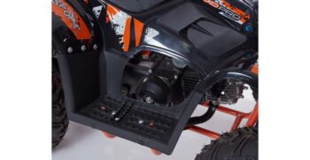 linus-001-r7-5-1024×683