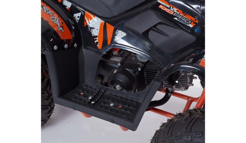 Mini Quad LINUS R6 + Kit Primo Tagliando