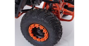 linus-001-r7-7-1024×683
