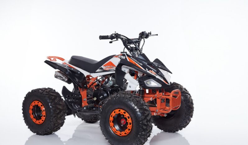 Quad NEW SCORPION R8 + Kit Primo Tagliando