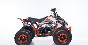 new-scorpion-004-r8-2-1024×683