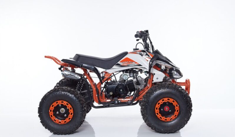 Quad NEW SCORPION R8 + Kit Primo Tagliando