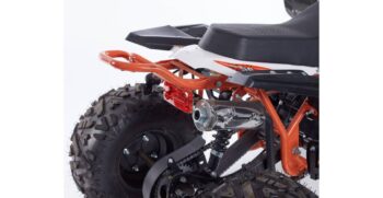 new-scorpion-004-r8-3-1024×683
