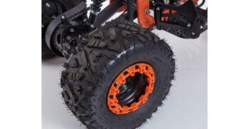 new-scorpion-004-r8-4-1024×683