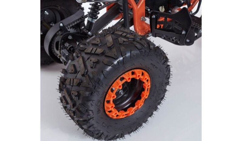 Quad NEW SCORPION R8 + Kit Primo Tagliando
